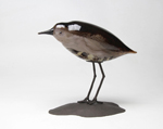 Shorebird Nicholson Blown Glass