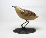 Shorebird Nicholson Blown Glass