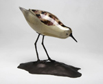 Shorebird Nicholson Blown Glass