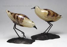 Shorebird Pair