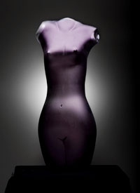 Torso